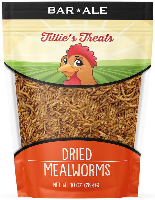 10 oz Mealworms Dried Worm bag